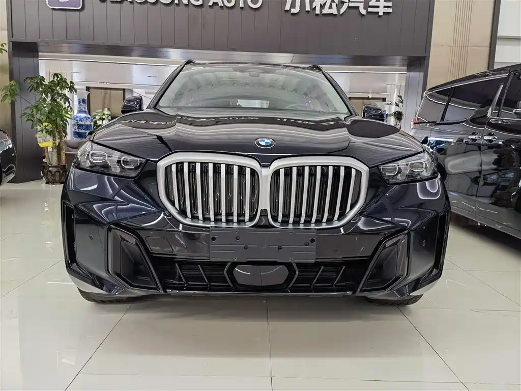 BMW X5 2023 xDrive 30Li Premium M Sport Package фото 2