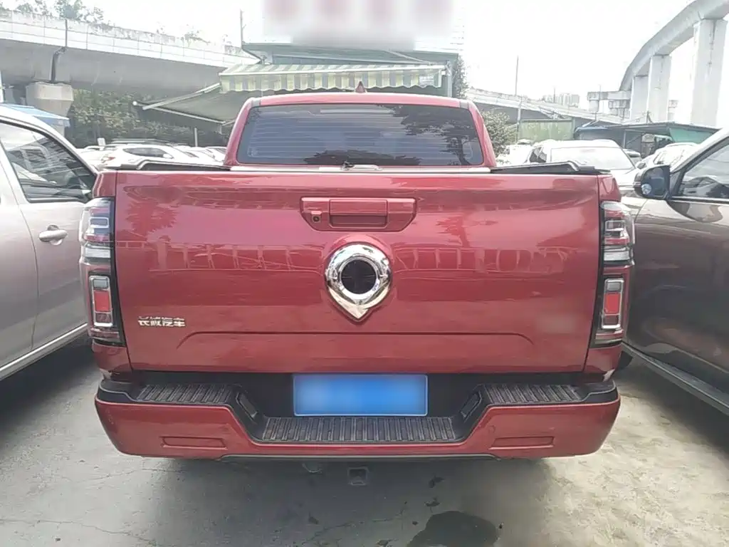 Great Wall Pao 2025 2023 2.0T Passenger Automatic Gasoline 4WD Sport GW4C20B