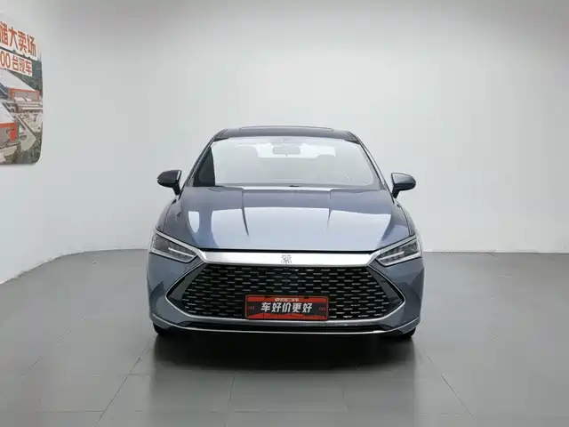 BYD Qin PLUS 2024 Glory Edition DM-i 120KM Leading — фото 3