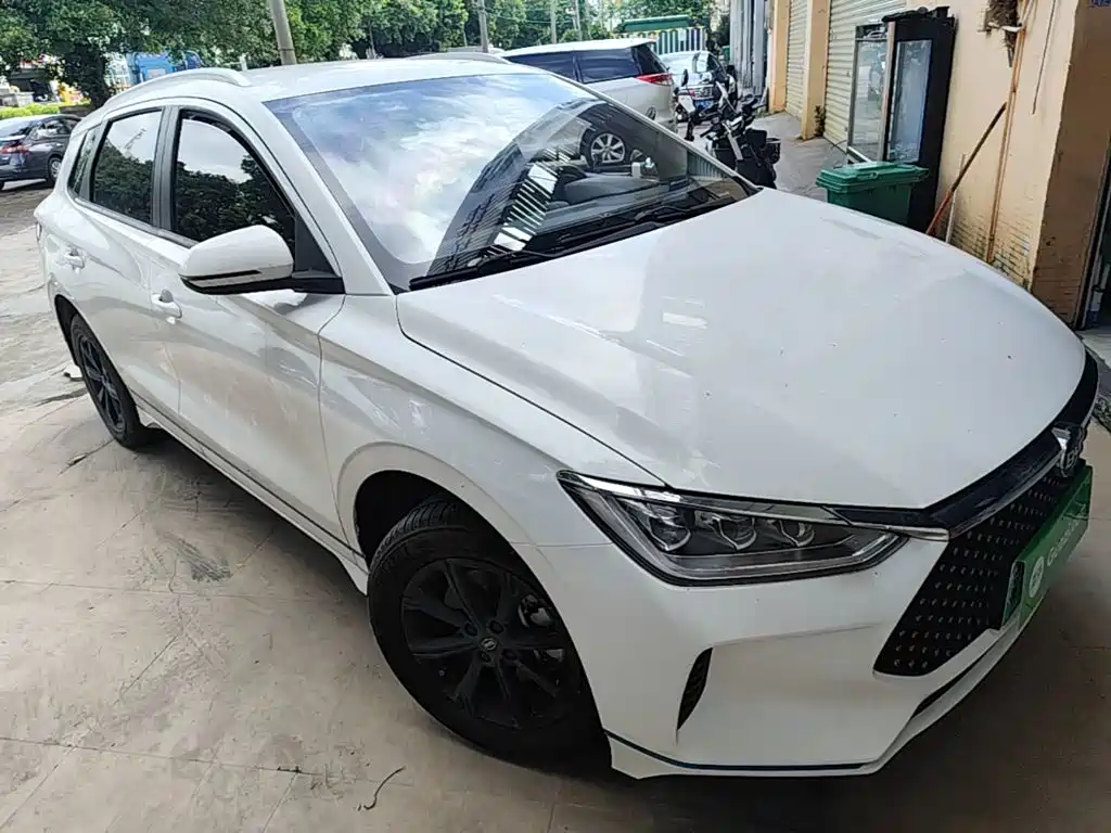 BYD e2 2021 2021 Luxury Edition
