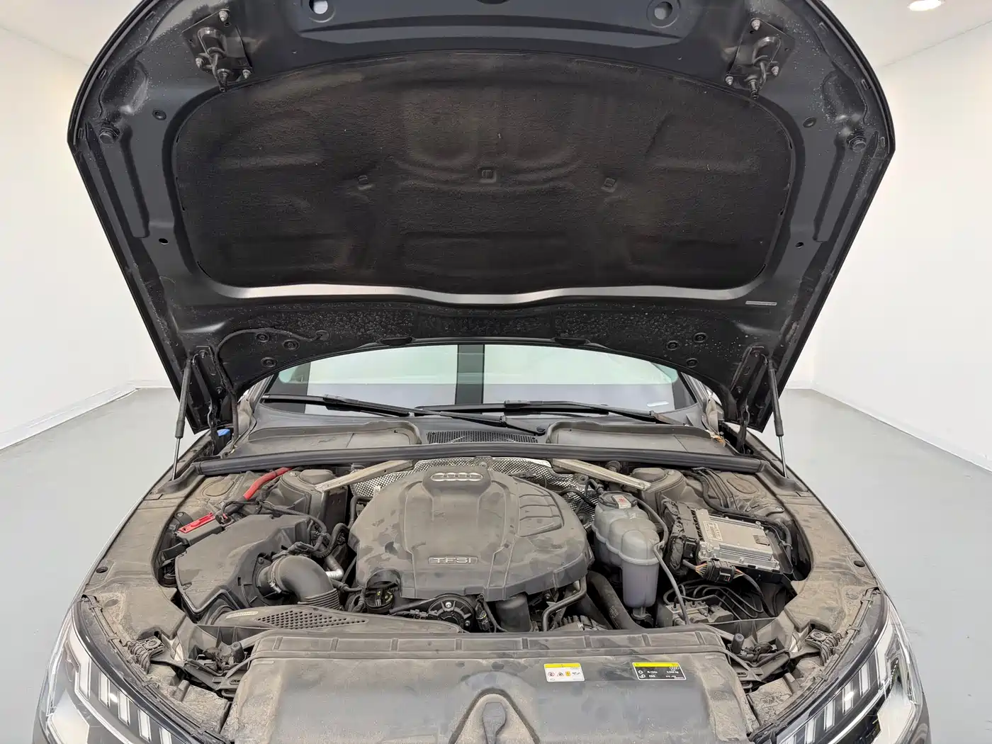 Audi A4L 2022 40 TFSI Luxury Dynamic фото 18
