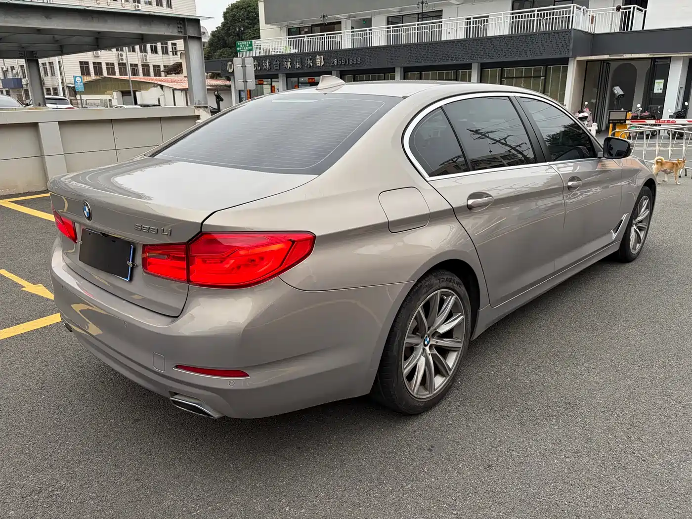 BMW 5 Series 2018 528Li Launch Special Edition фото 9