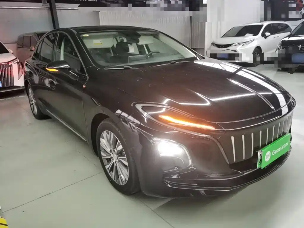 Photo 4 - Hongqi E-QM5