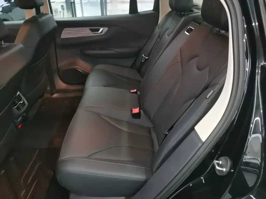 Photo 17 - Hongqi E-QM5