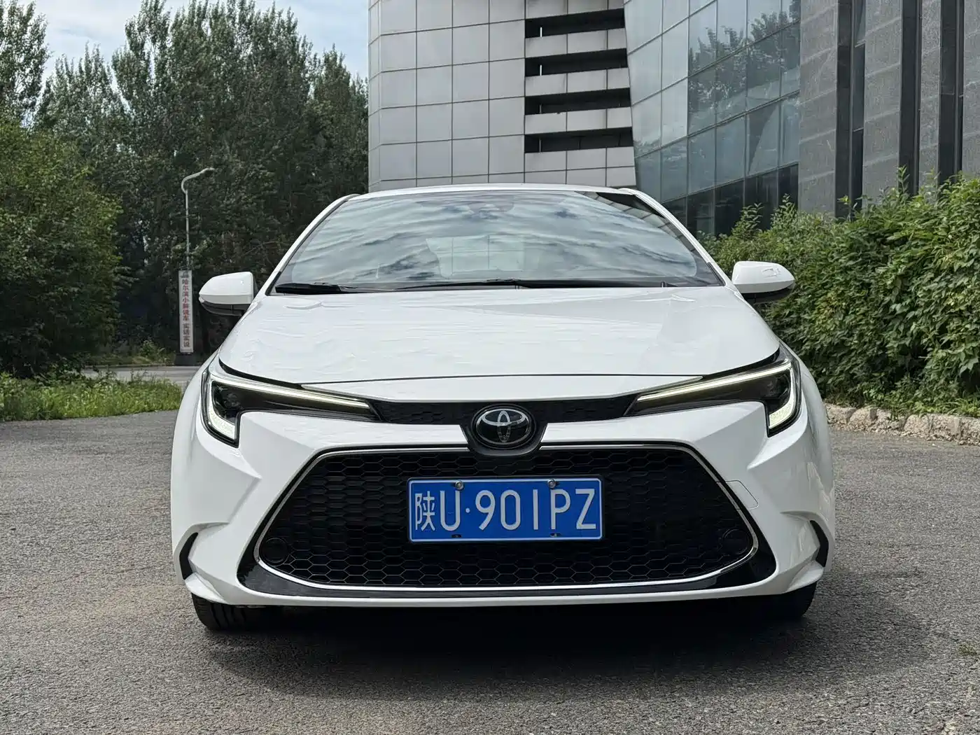 TOYOTA LEI LING