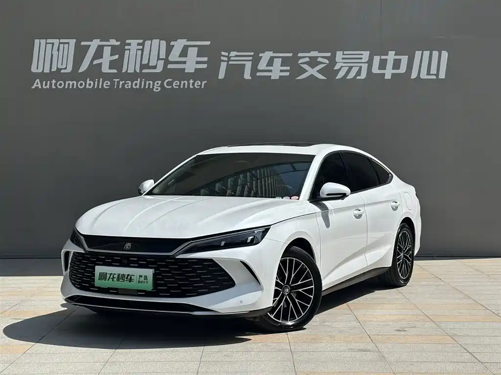 BYD QIN L