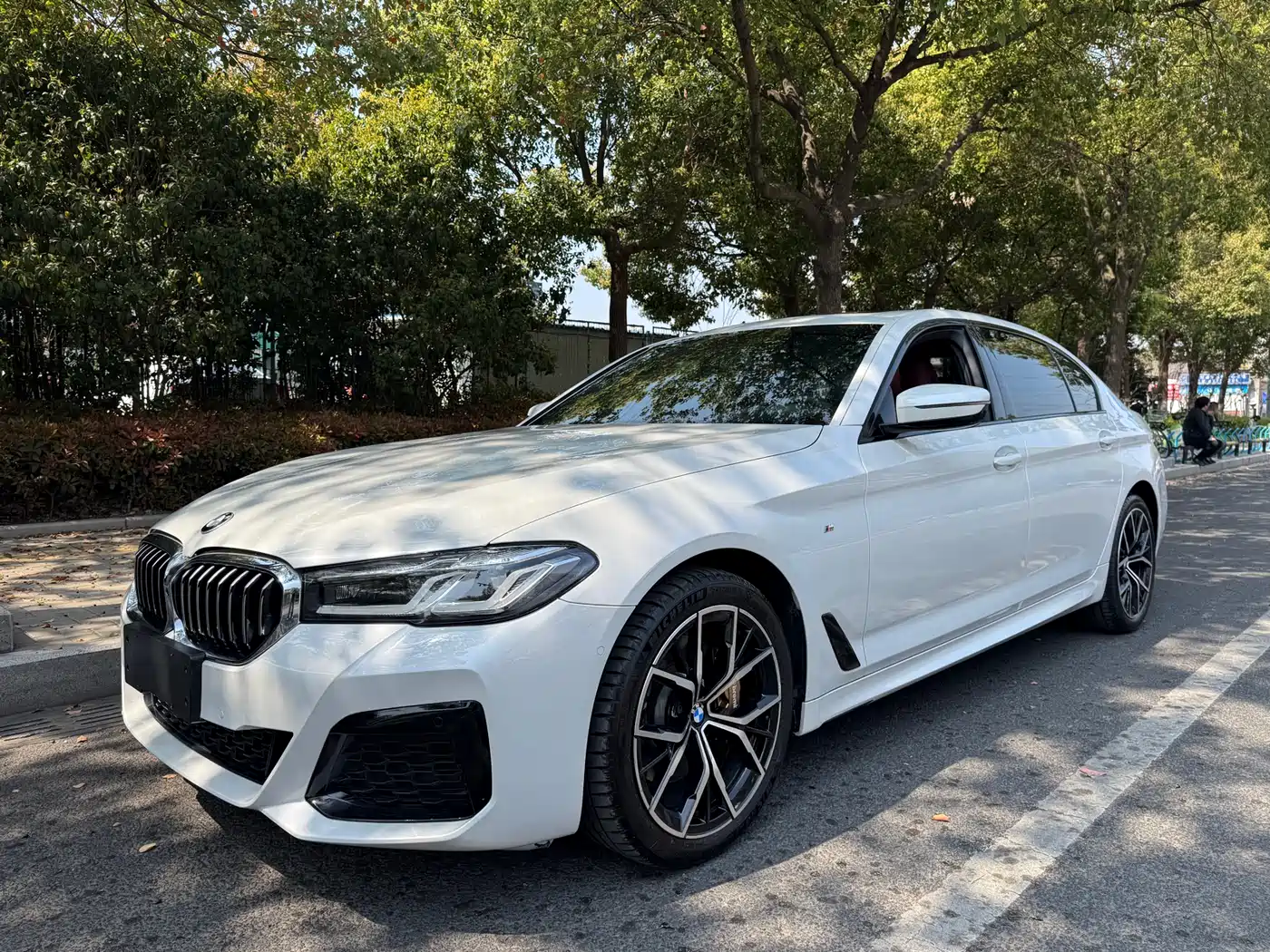 BMW 5 Series 2019 530Li Leading M Sport Package