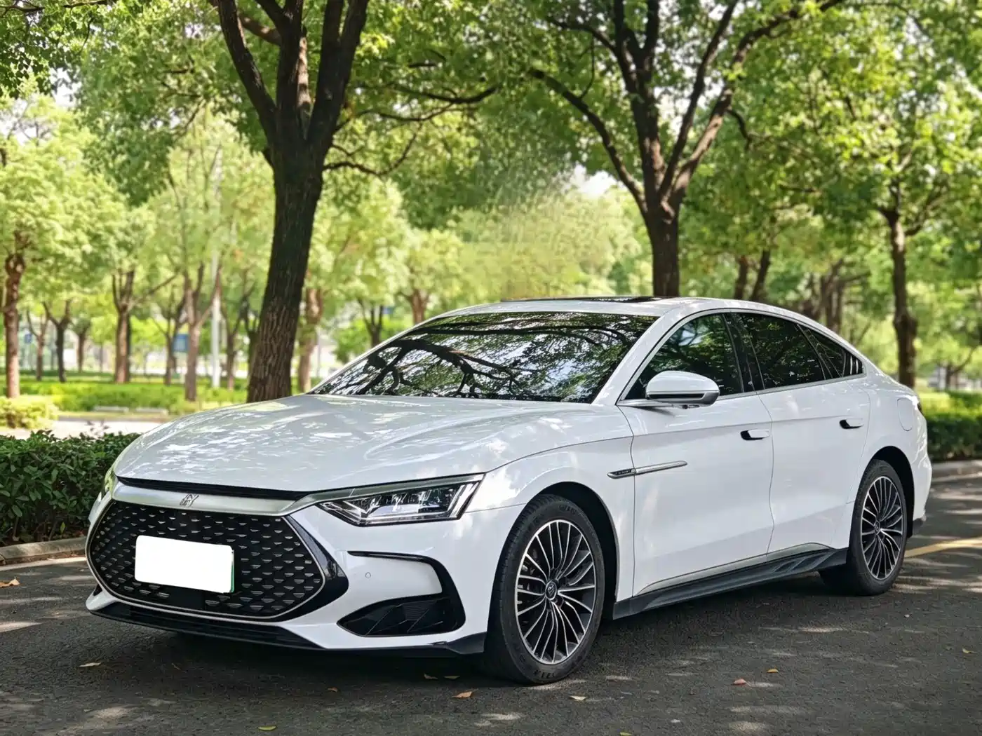 BYD Han 2022