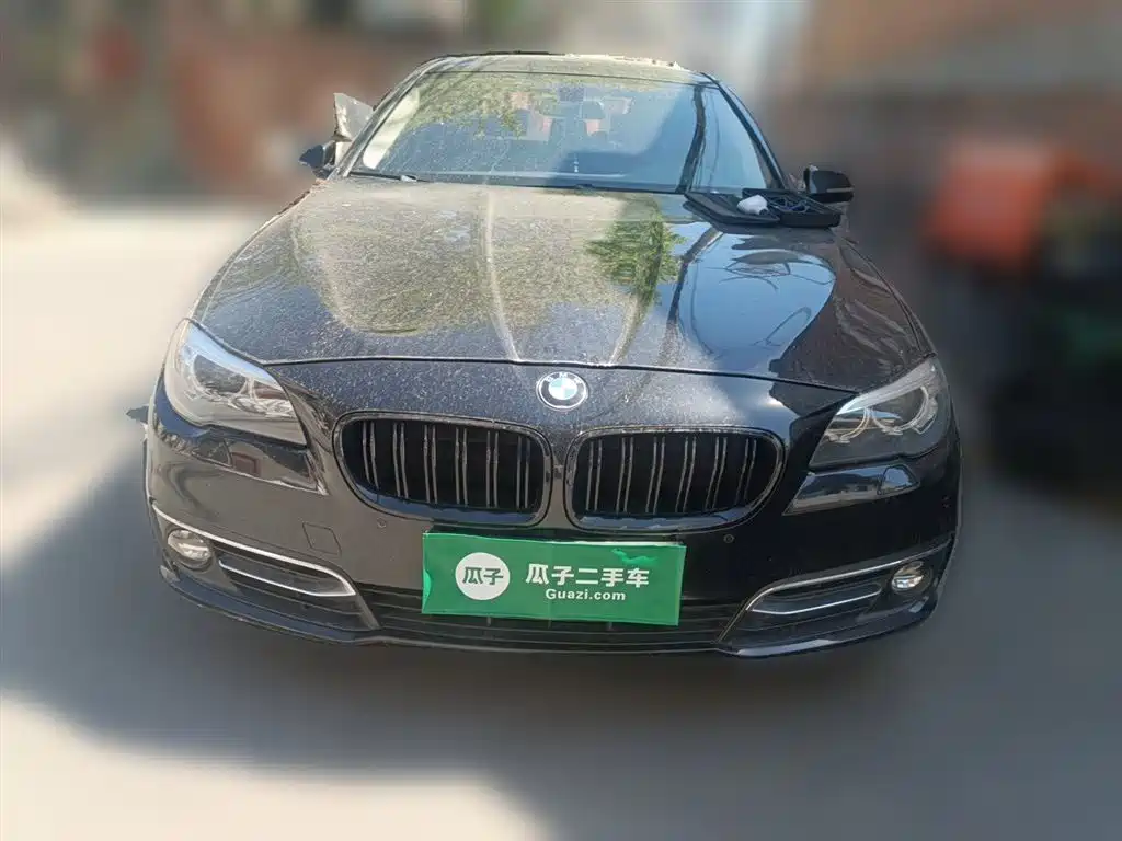 BMW 5 Series 2014 525Li Luxury Design Package фото 24