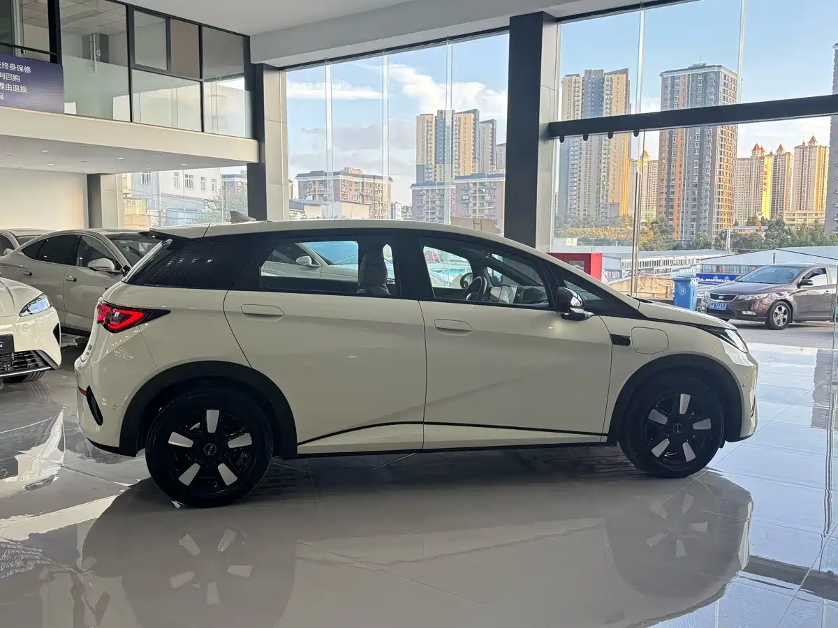 BYD Dolphin 2026 2025 Smart Drive Edition 410km Fashion Version