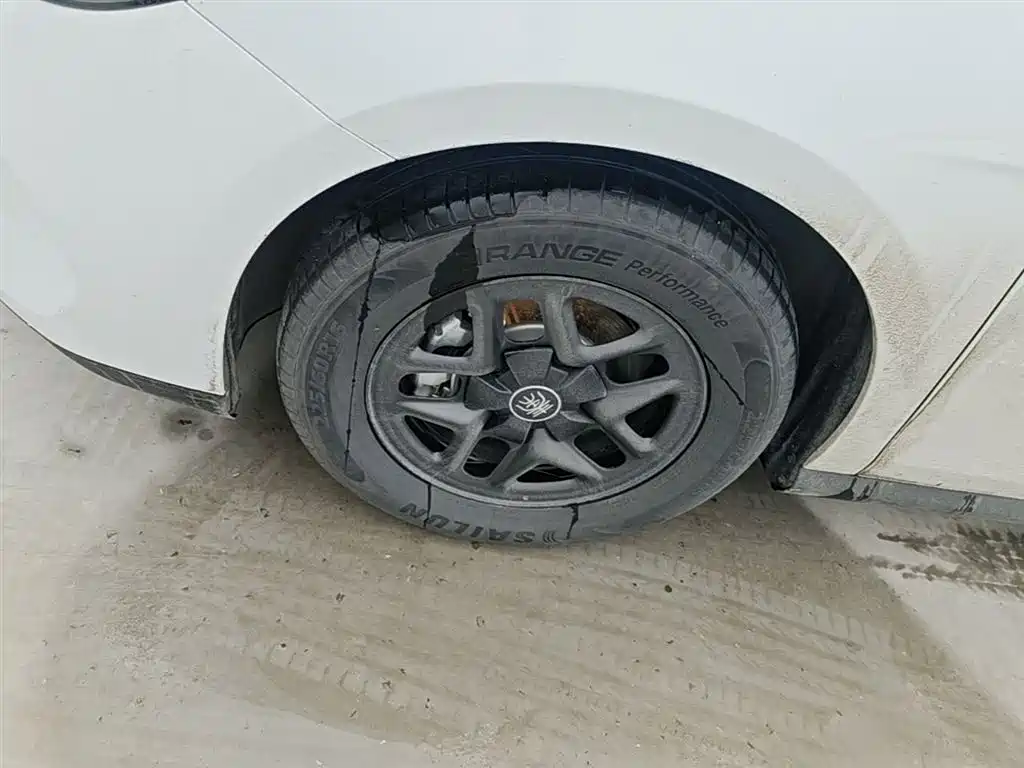 BYD Qin PLUS 2025 DM-i Smart Drive 55KM Leader фото 23