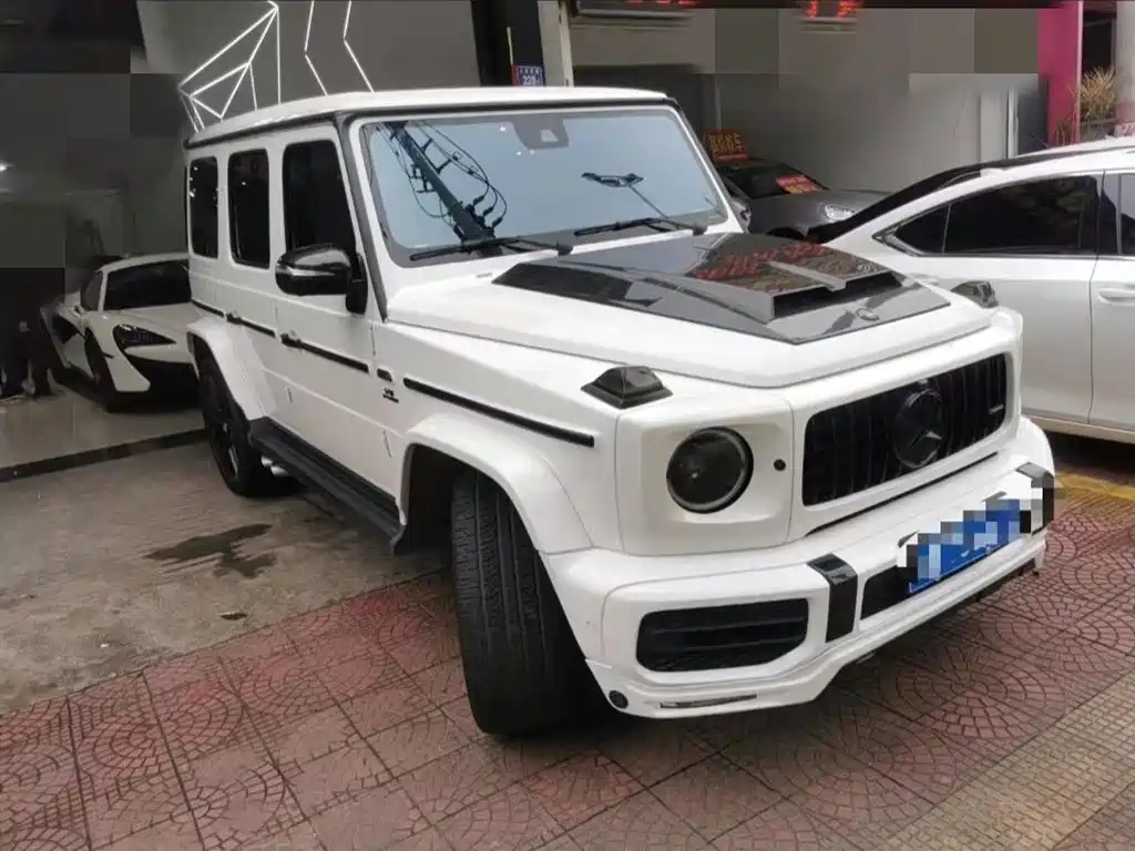 Mercedes-Benz G-Class 2019 G 500 фото 3