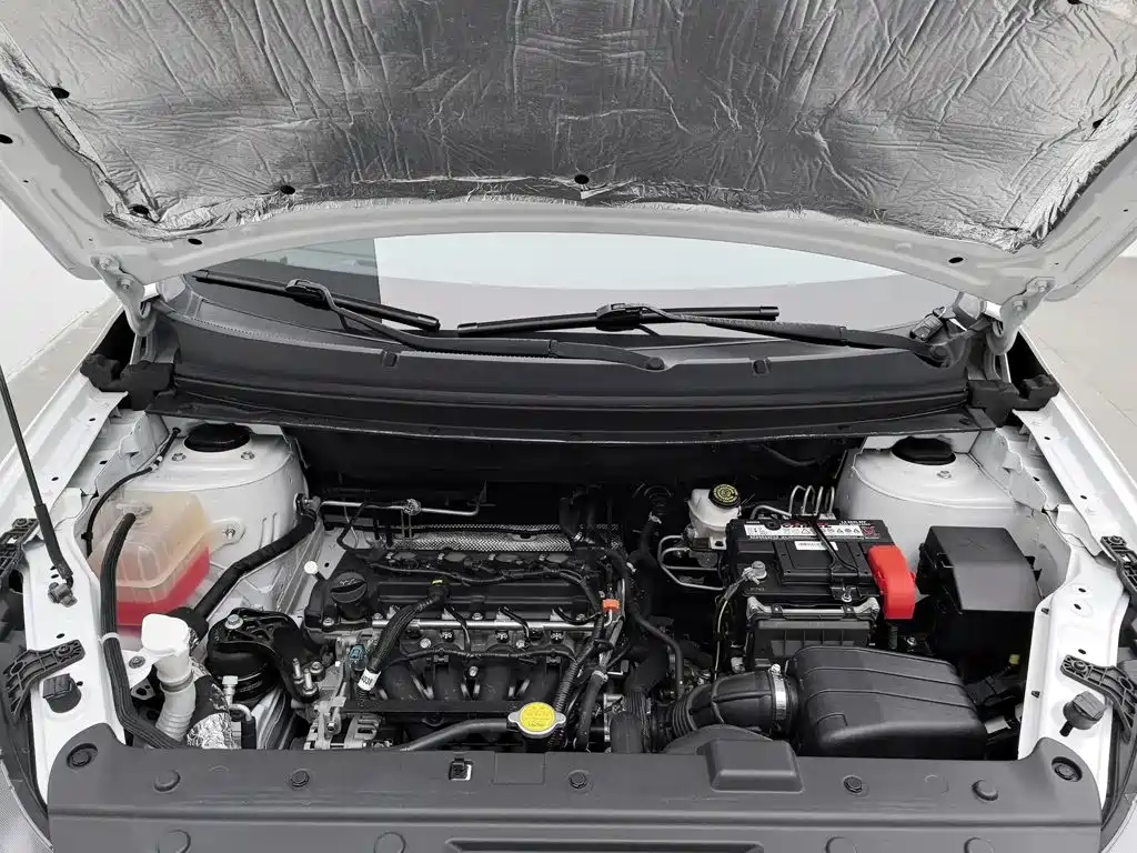 Dongfeng Fengxing Fengxing T5 2020 2020 1.6L Manual Comfort China VI