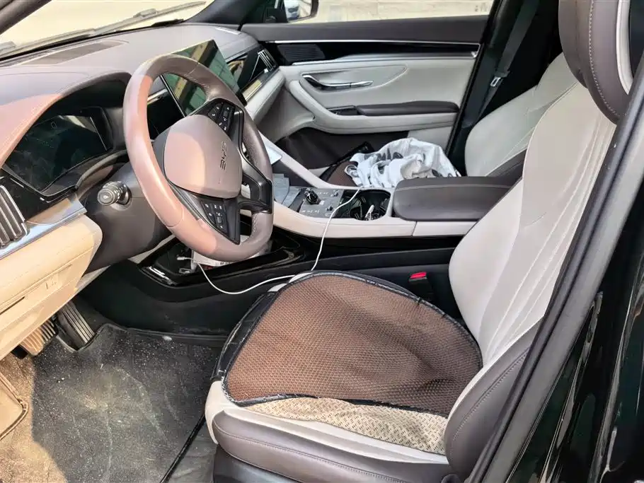 BYD SONGJIANG NEW ENERGY