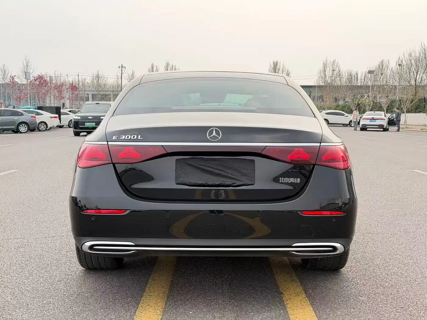 Mercedes-Benz E-Class 2024 E 300 L Fashion фото 5