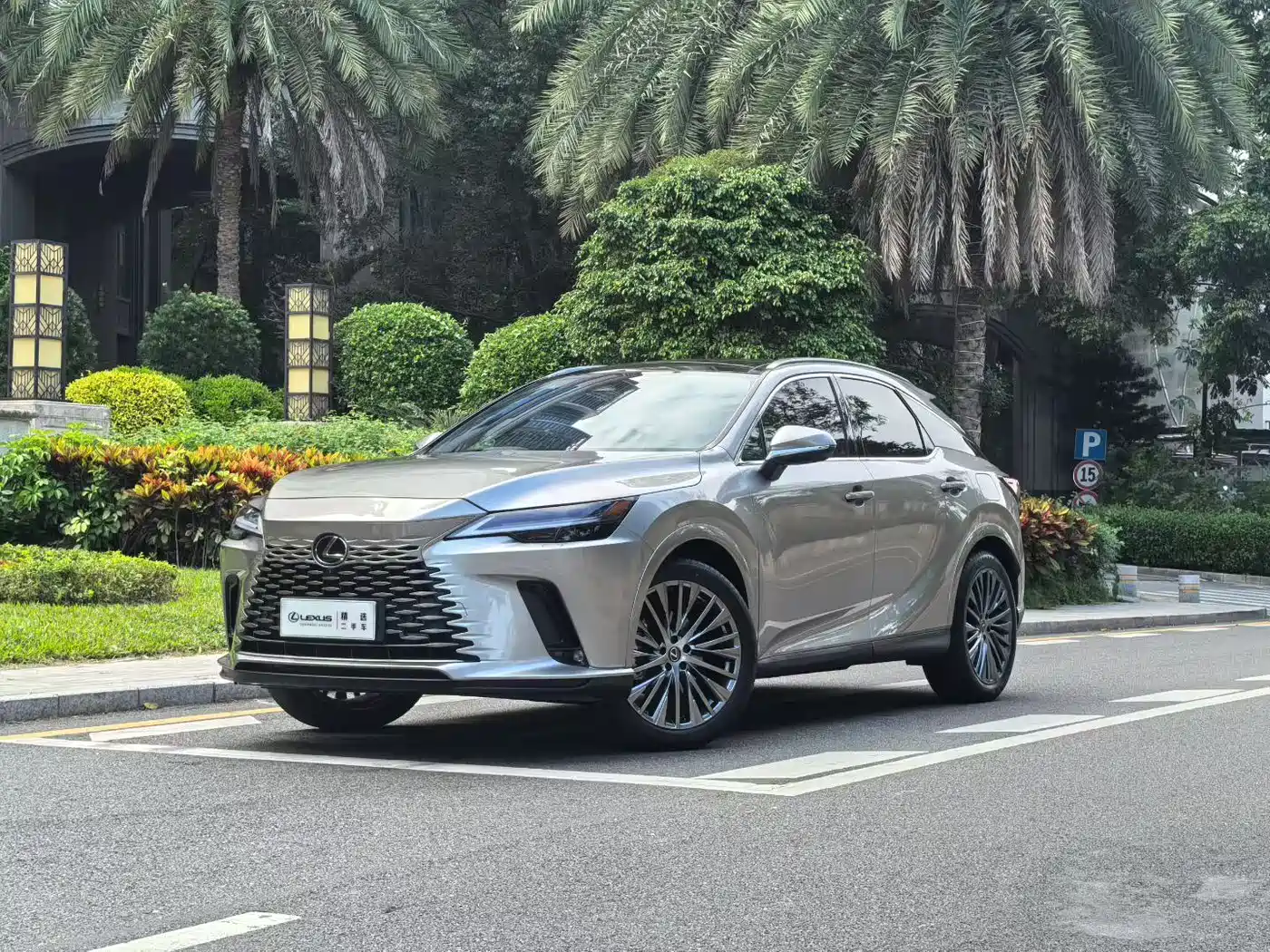 LEXUS RX