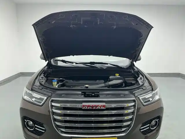 Haval H6 2017 Red Label 2.0T Auto 2WD Smart фото 11