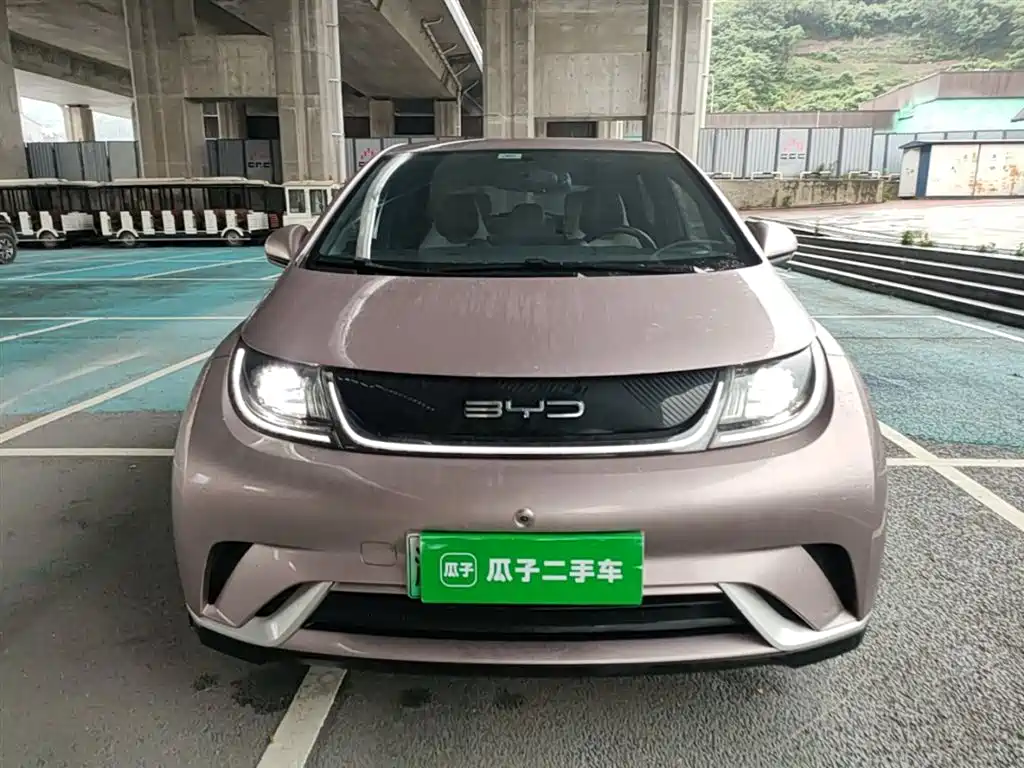 BYD Dolphin 2023 420km Freedom Edition фото 3