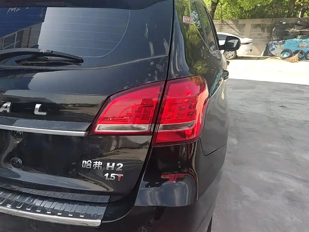 Фото 8 - Haval H2