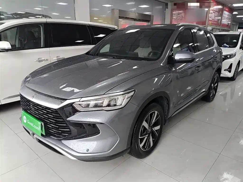 BYD Song Pro New Energy 2024 Glory Edition DM-i 71KM Pilot фото 2