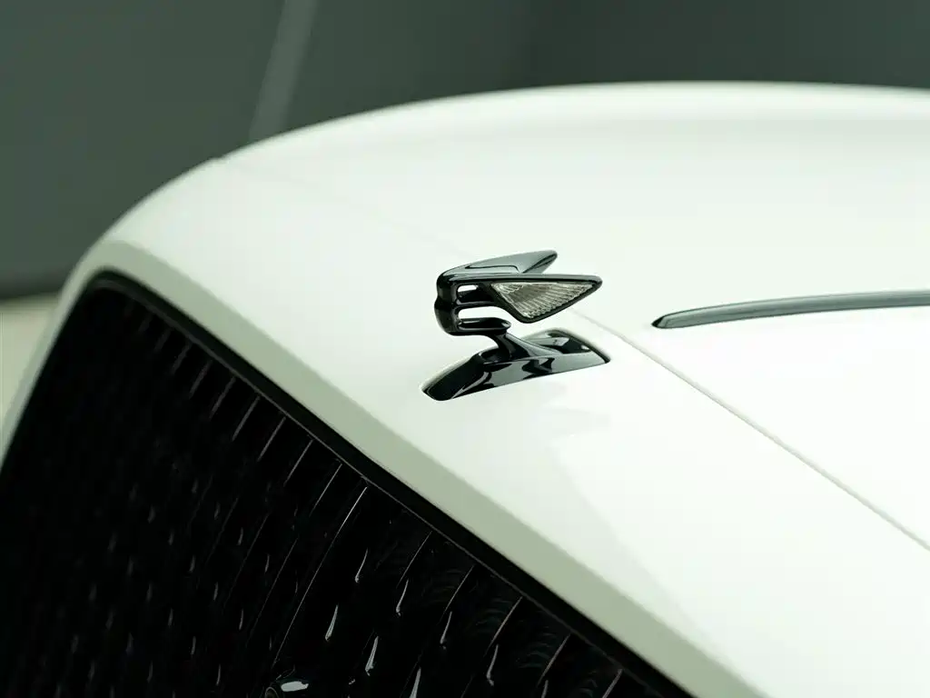 BENTLEY FLYING