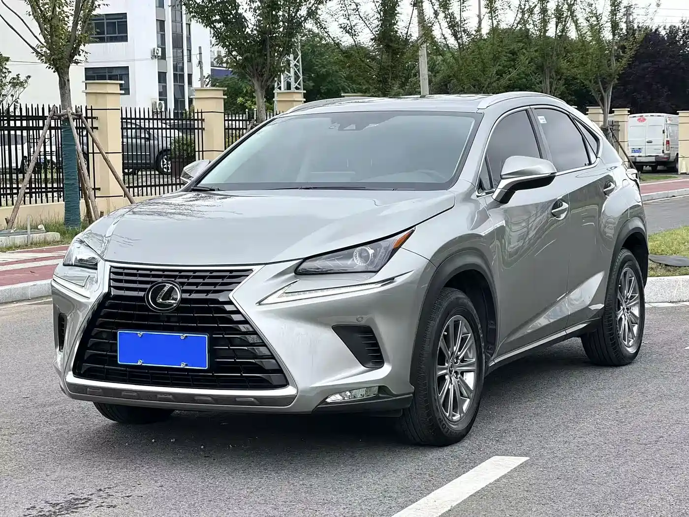 Lexus NX 2020 200 AWD F Sport China V