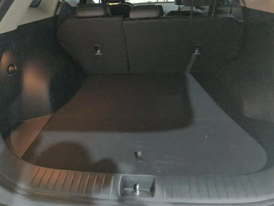 KIA LION PLATINUM EXPANDS THE WORLD