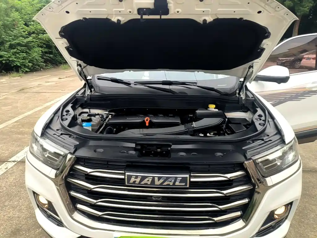 Фото 20 - Haval H6