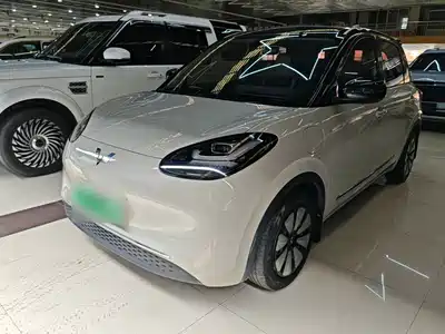 Wuling Bingo