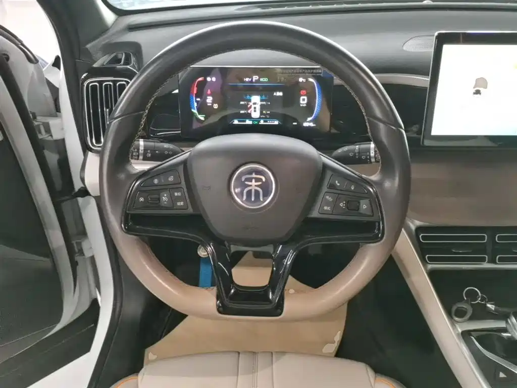 BYD Song Pro New Energy 2024 Glory Edition DM-i 71KM Pilot фото 11