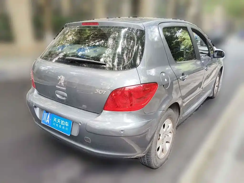 صورة 2 - Peugeot 307
