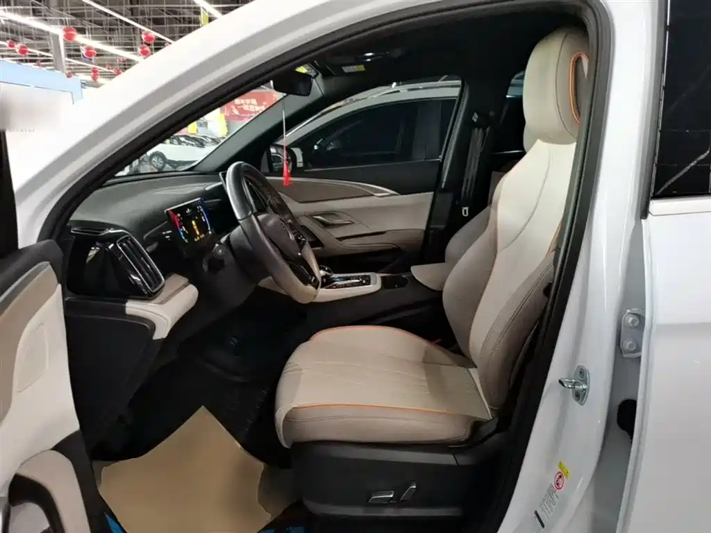 BYD Song Pro New Energy 2024 Glory Edition DM-i 71KM Pilot фото 15