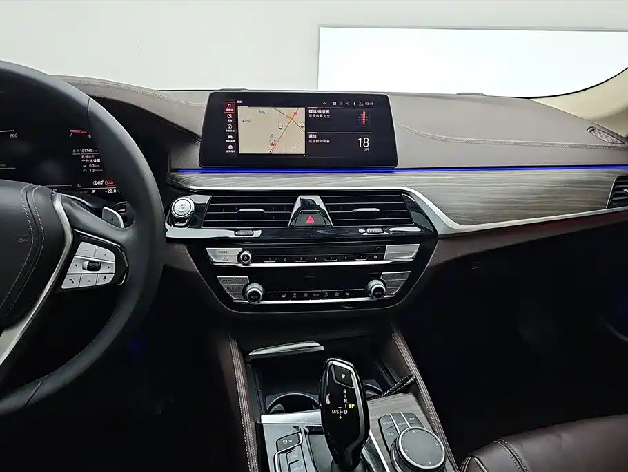 BMW 5 Series 2021 530Li Leading Luxury Package фото 13