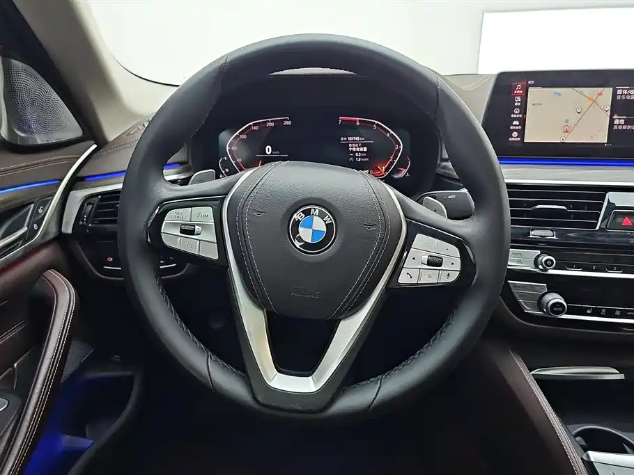 BMW 5 Series 2021 530Li Leading Luxury Package фото 15