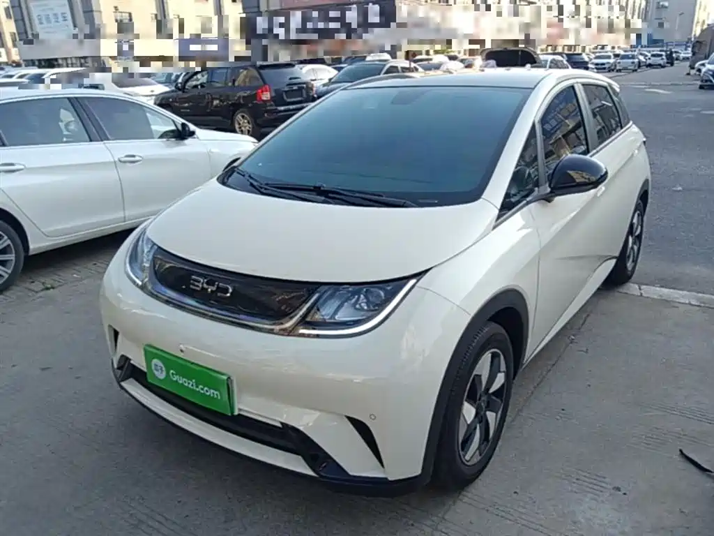 BYD Dolphin 2024 Glory Edition 420km Fashion Edition