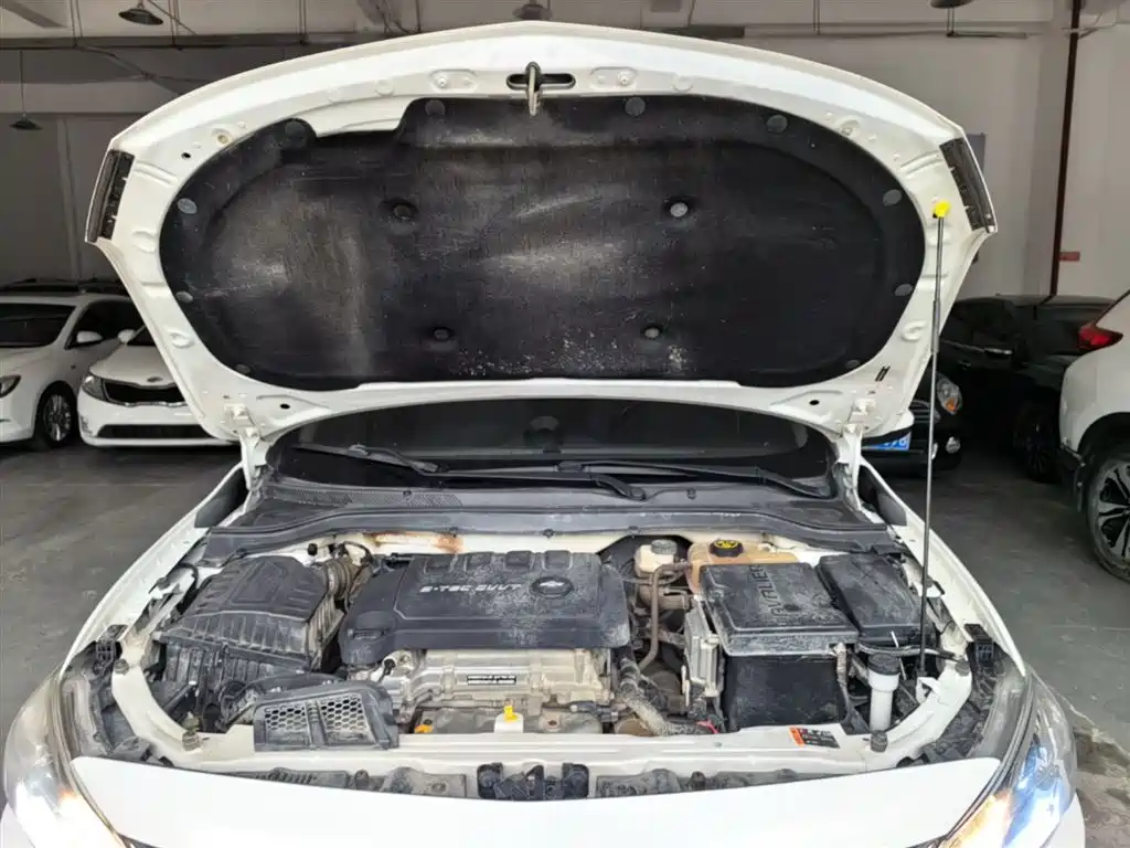 Chevrolet Cavalier 2019 320 Auto Sunroof Enjoyment Edition фото 20