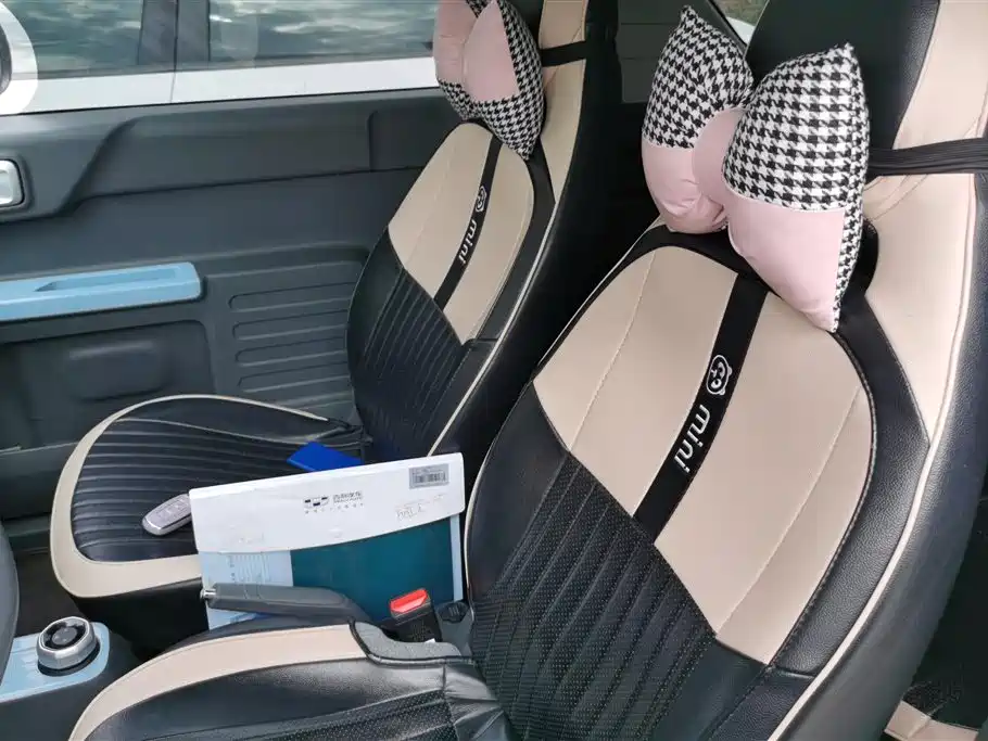 Geely Galaxy Panda 2023 Panda Mini 200km Endurance Bear фото 9