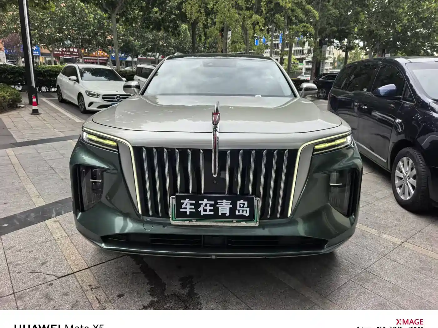 Hongqi E-HS9 2021 2021 460km Flagship Comfort 6-seater