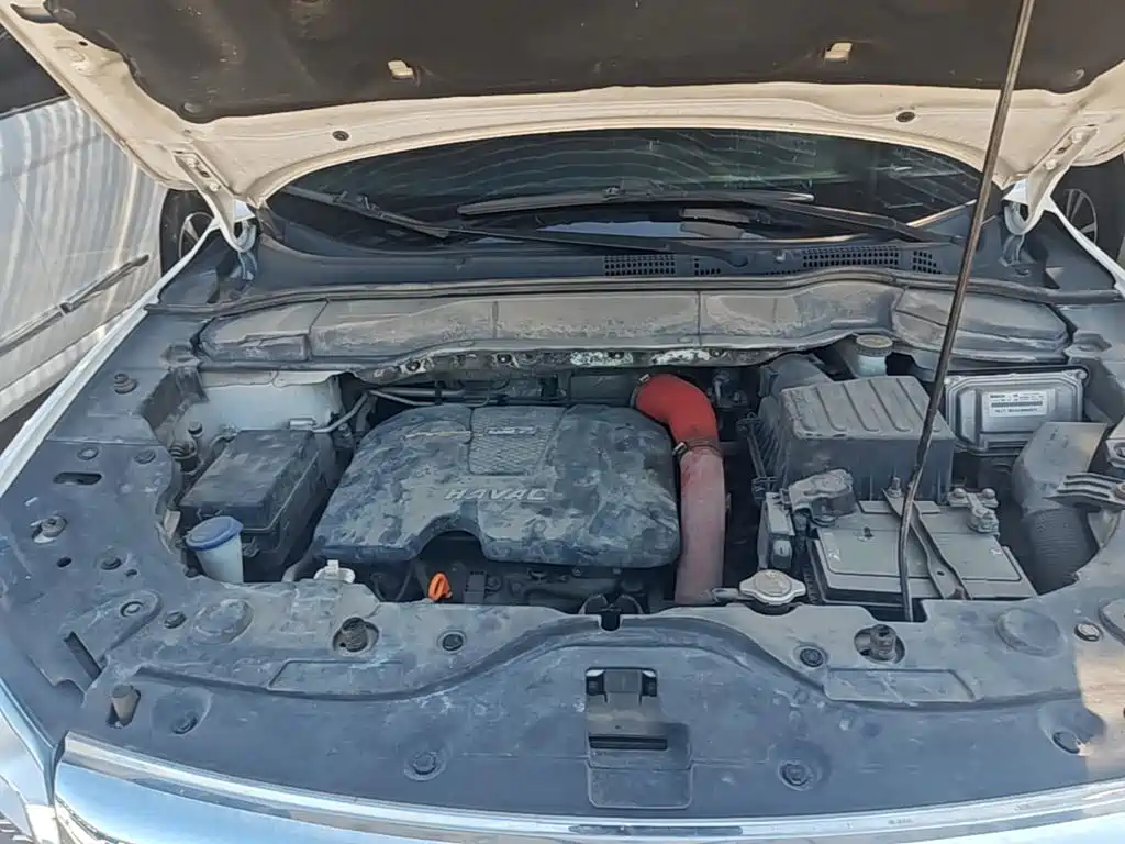 Photo 20 - Haval H2