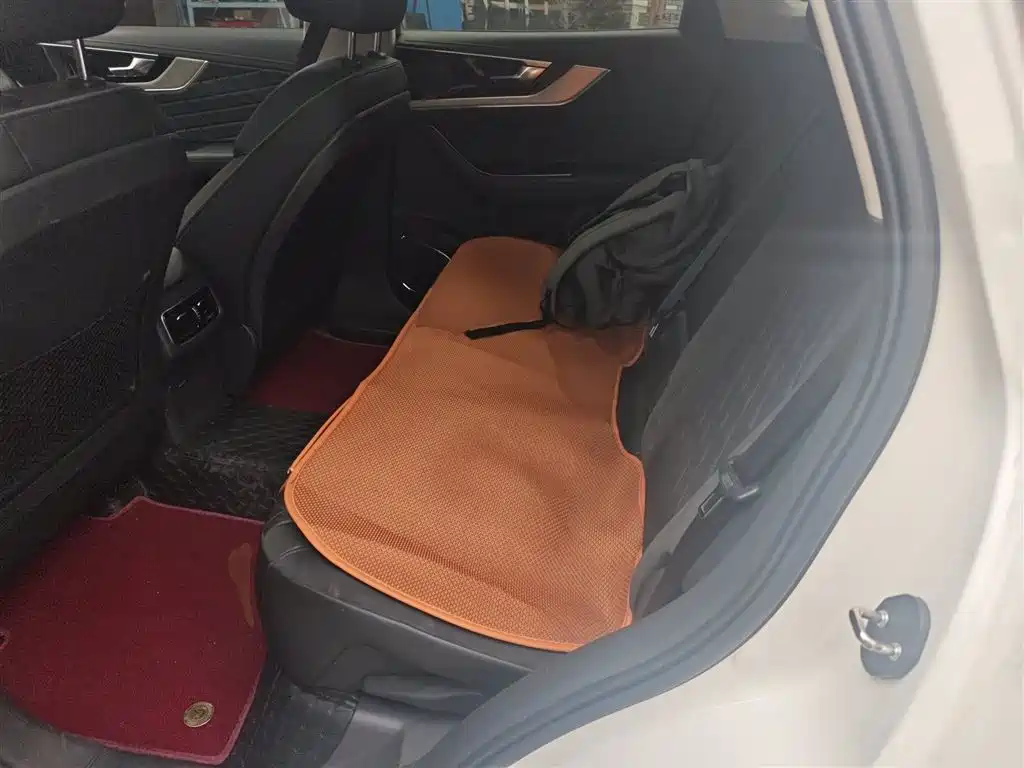 Hongqi HS5 2019 2.0T Smart Connect Enjoy Edition фото 13