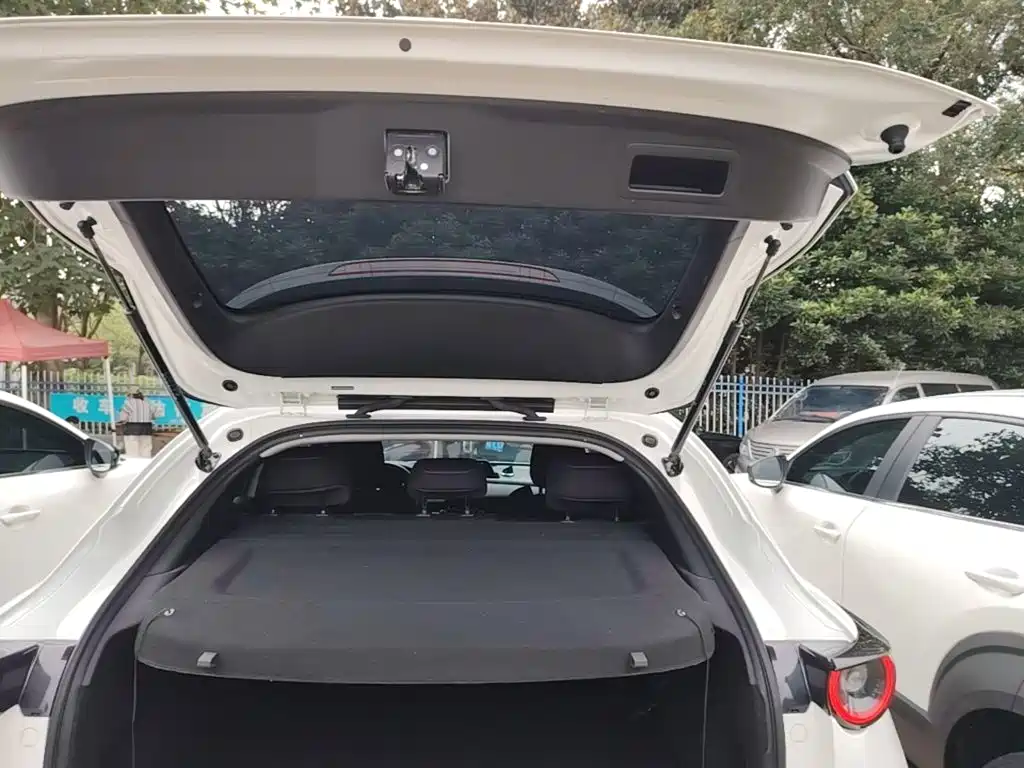 Mazda CX-30 EV 2023 2021 Pure Electric Enjoyment Edition