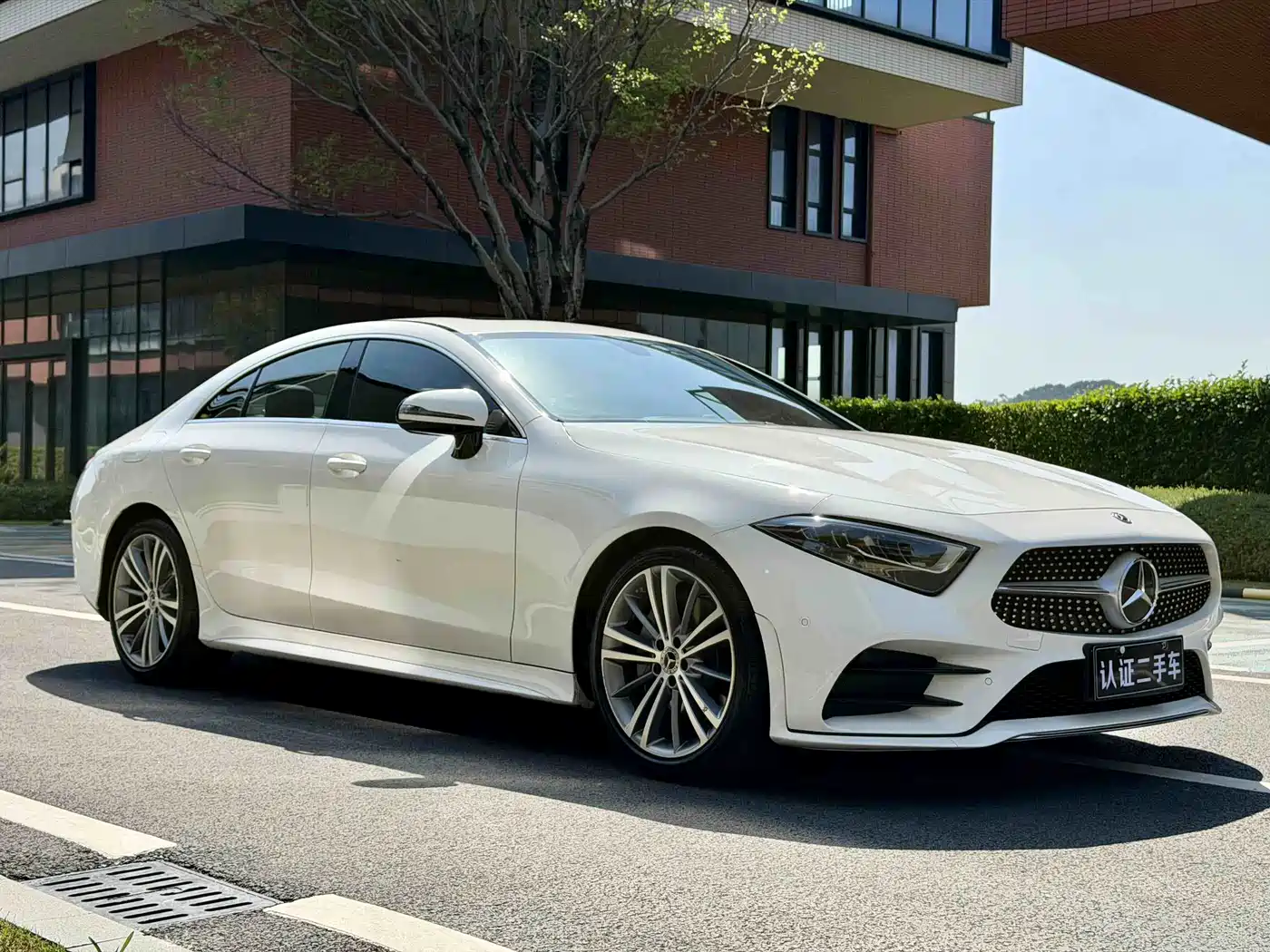 Mercedes-Benz CLS 2020 CLS 300 Dynamic фото 13