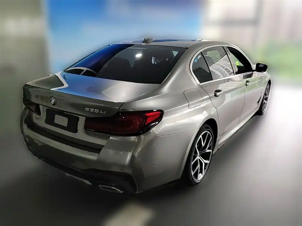 BMW 5 Series 2023 530Li Premium M Sport Package фото 12