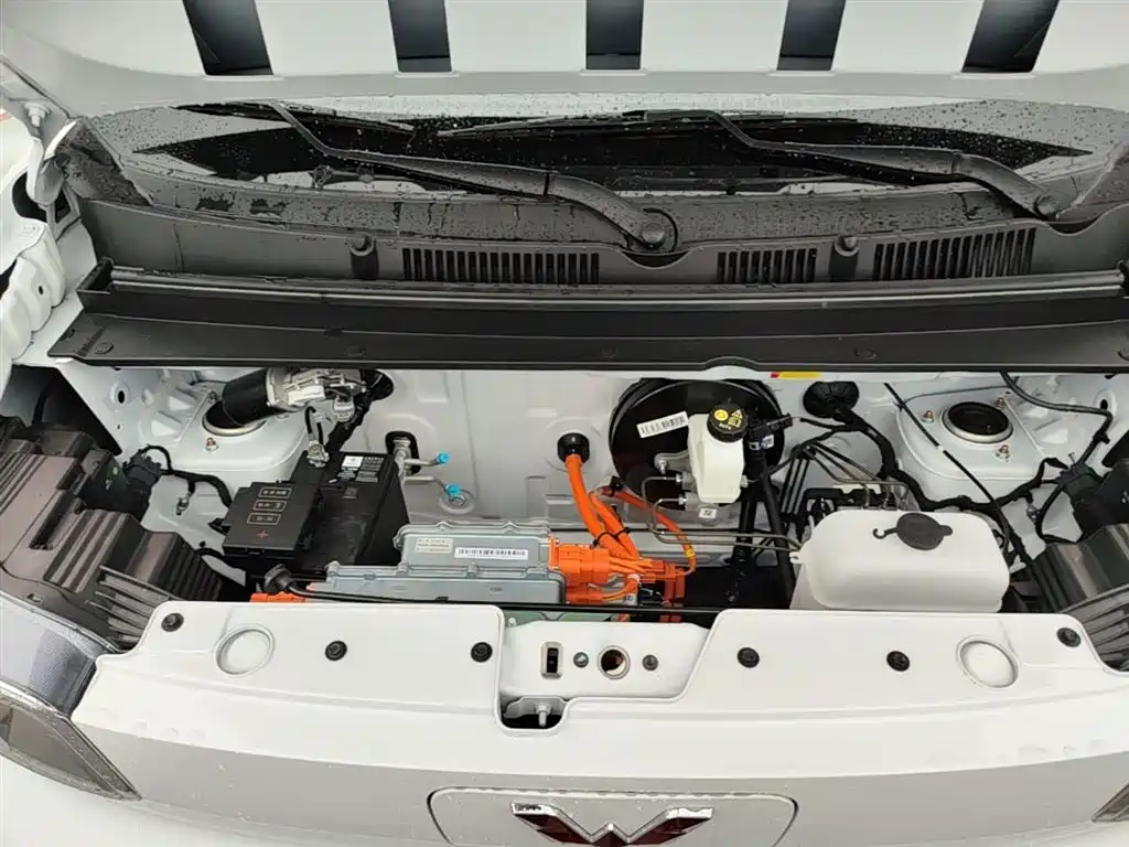 Wuling Motors Wuling Zhiguang NEV 2026 2025 Model 305km Base Version