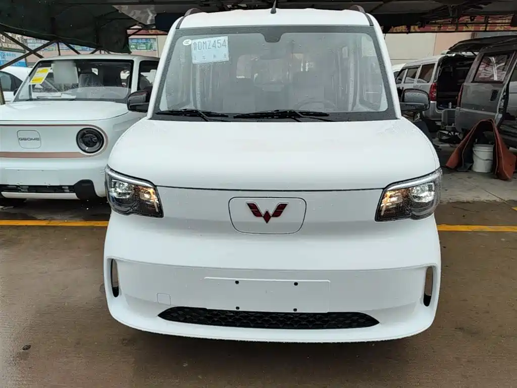 Wuling Motors Wuling Zhiguang NEV 2026 2025 Model 305km Base Version