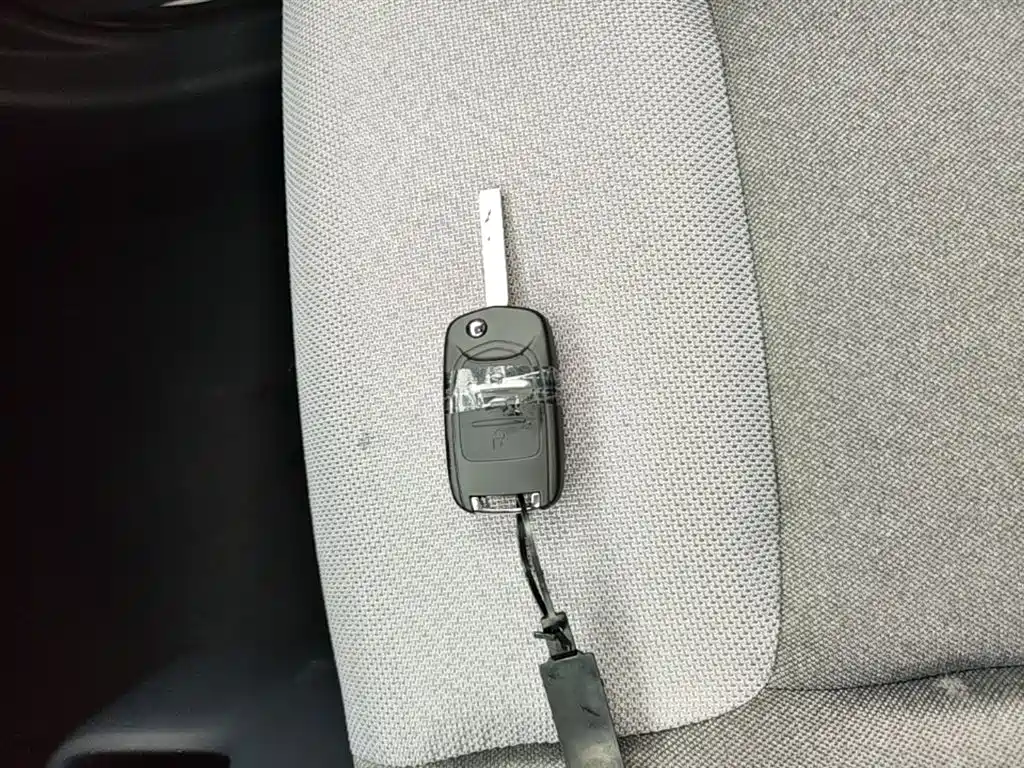Wuling Motors Wuling Zhiguang NEV 2026 2025 Model 305km Base Version
