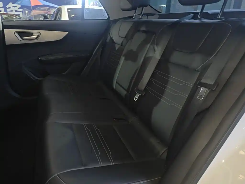 BYD Qin New Energy 2020 2019 Long Range Edition Premium