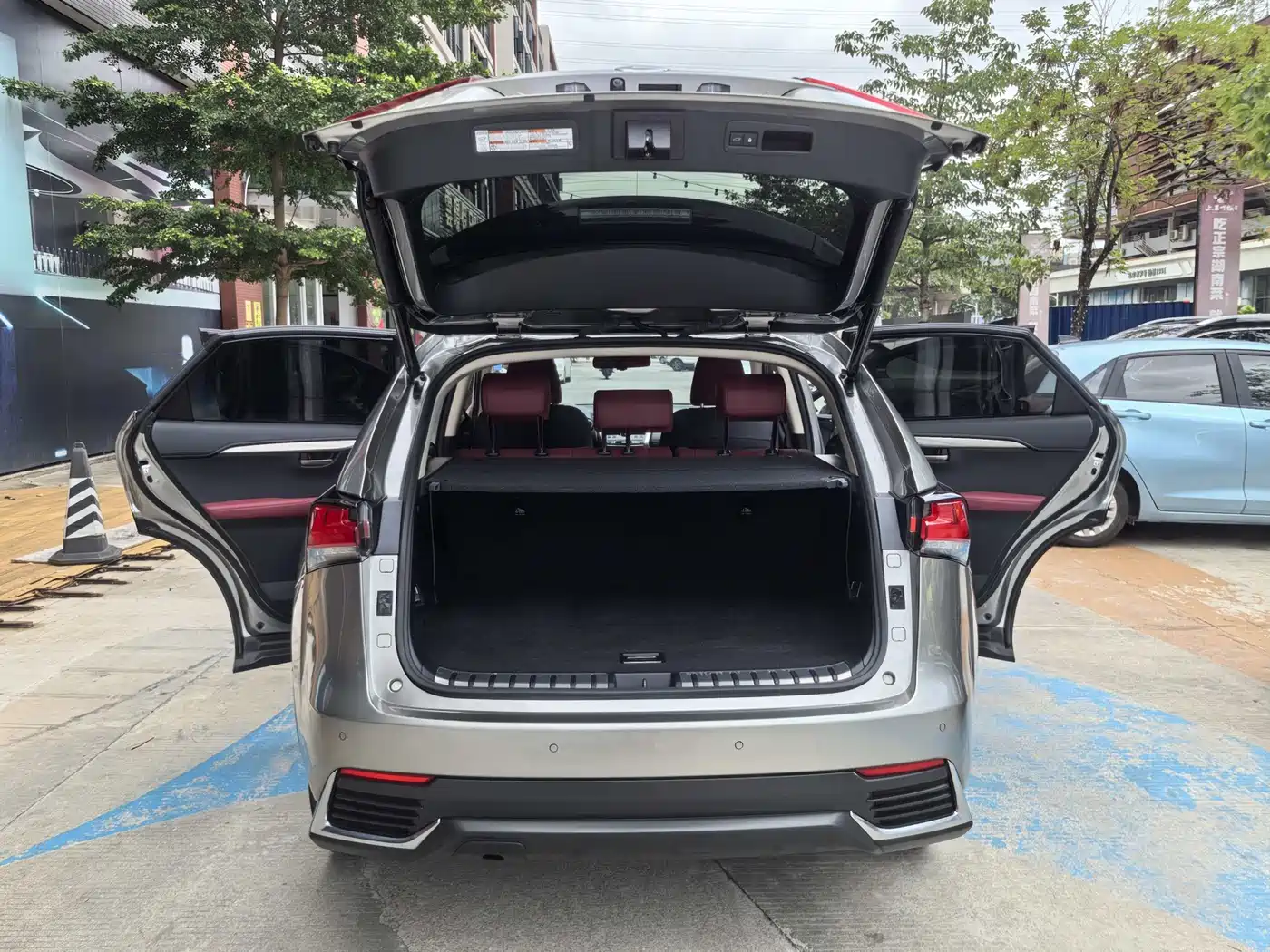 Lexus NX 2020 300h FWD F Sport China V фото 9
