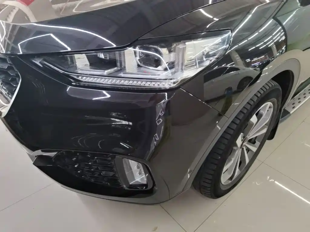 WEY VV6 2019 2019 2.0T 2WD Flagship China VI