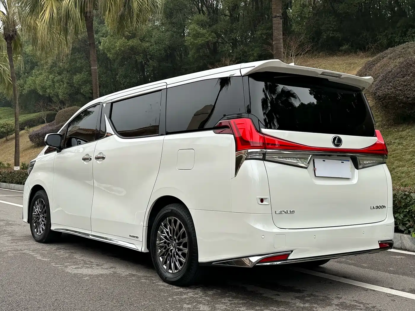 Lexus LM 2020 300h Seven-Seater Elegance Edition фото 23